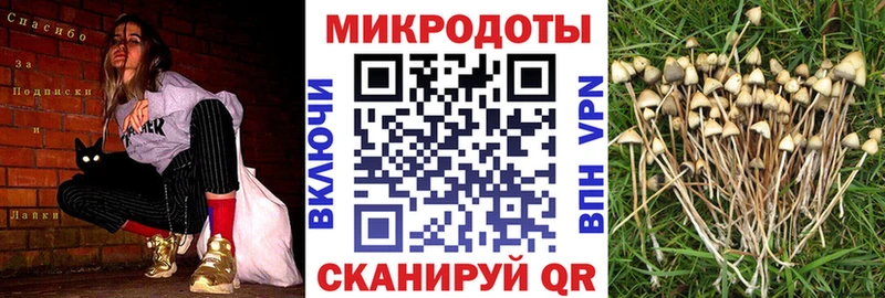Псилоцибиновые грибы MAGIC MUSHROOMS  Купить где  Тимашёвск 